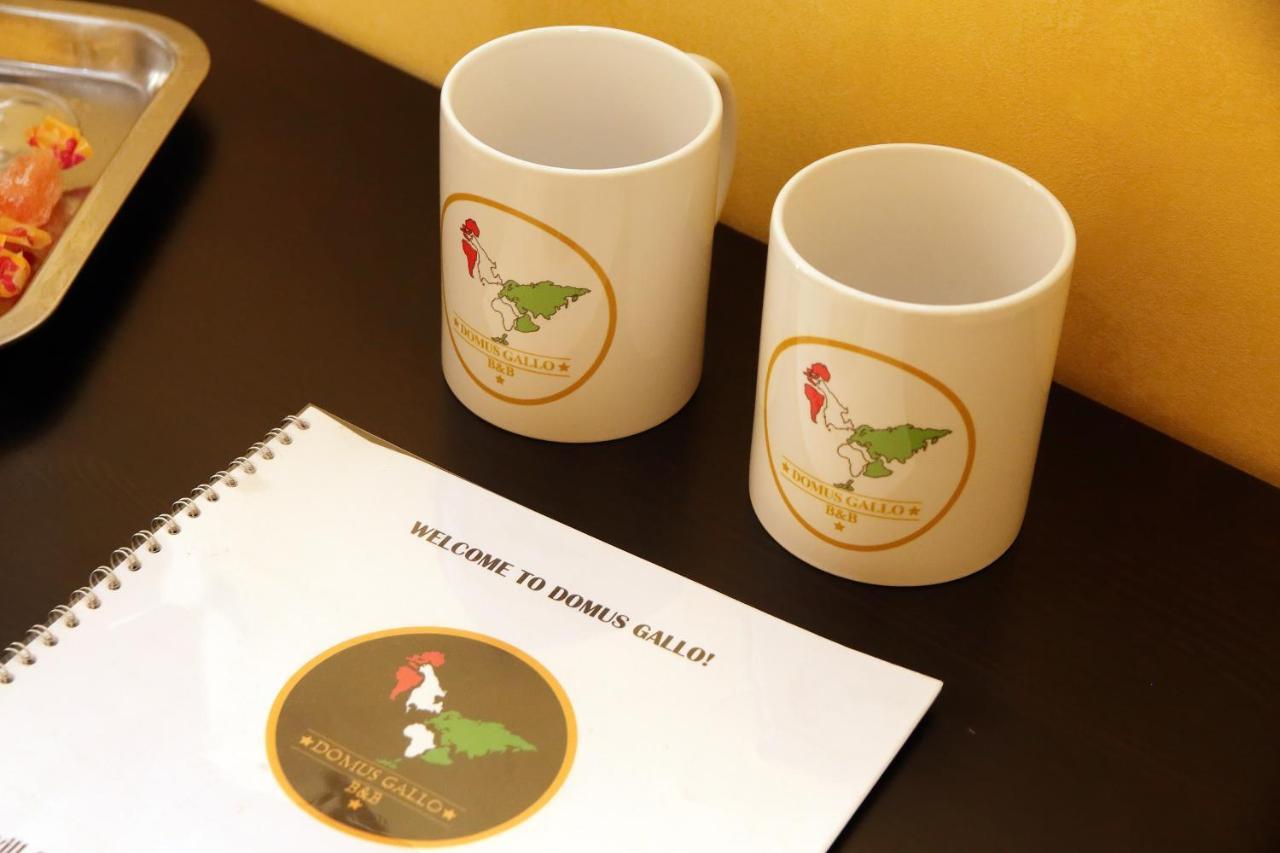 Domus Gallo ローマ エクステリア 写真